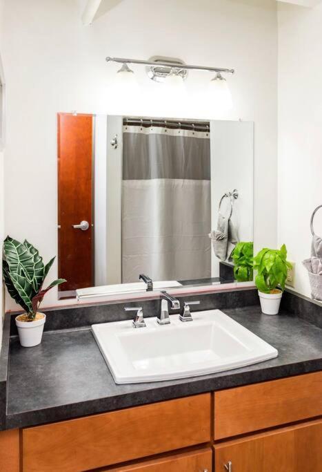 Appartement Centric Modern Loft W/ King Beds à Rochester Extérieur photo